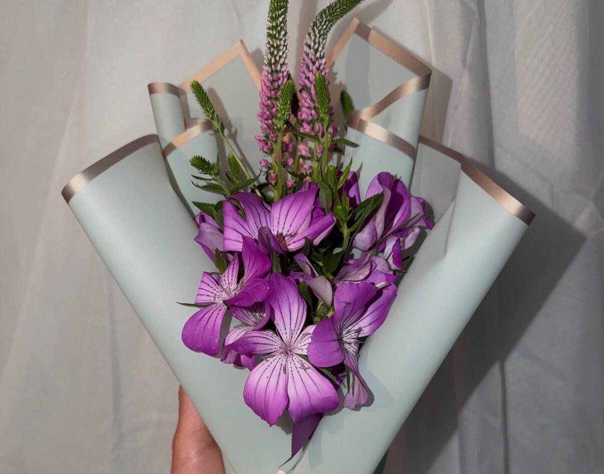 Violet Atelier: The Aesthetic Collection